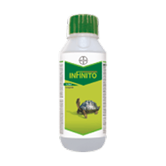 Infinito Fungicide – Fluopicolide 5.56% w/w + Propamocarb Hydrochloride 55.6% w/w SC – Protection against disease