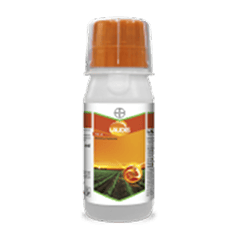 Laudis Herbicide – Tembotrione 34.4% SC for Broadleaf & Grassy Weeds