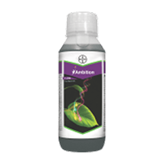 Ambition Plant Growth Promoter – Amino & Fulvic Acid
