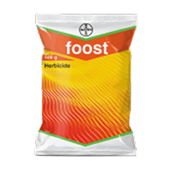 Foost Herbicide (Atrazine 50% WP) – Weed Control in Maize & Sugarcane Crops
